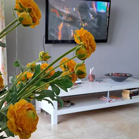 شقة Casa Arena بالم مار